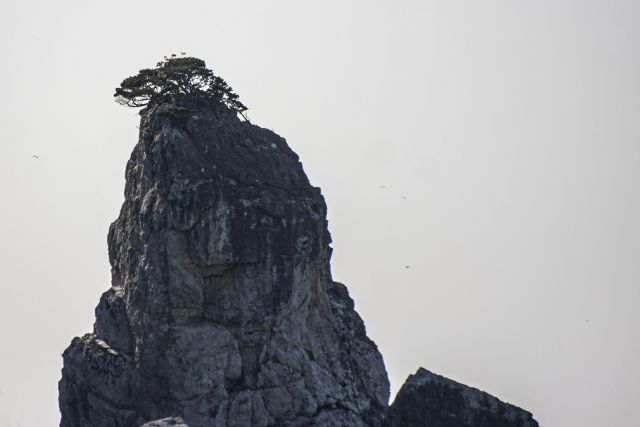 Amasra kalesi, koylar ve liman