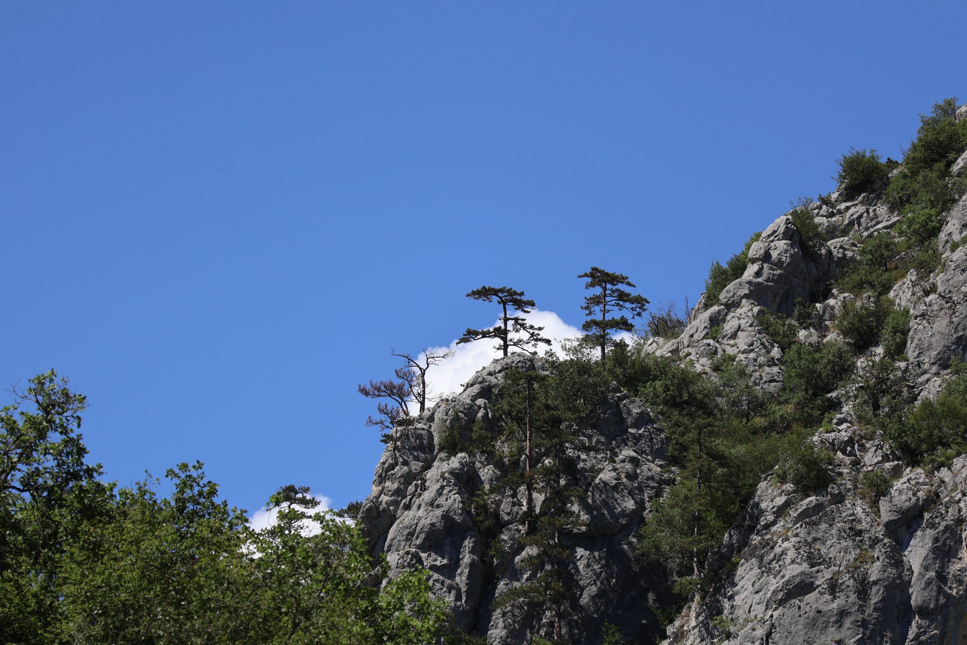Horma Kanyonu
