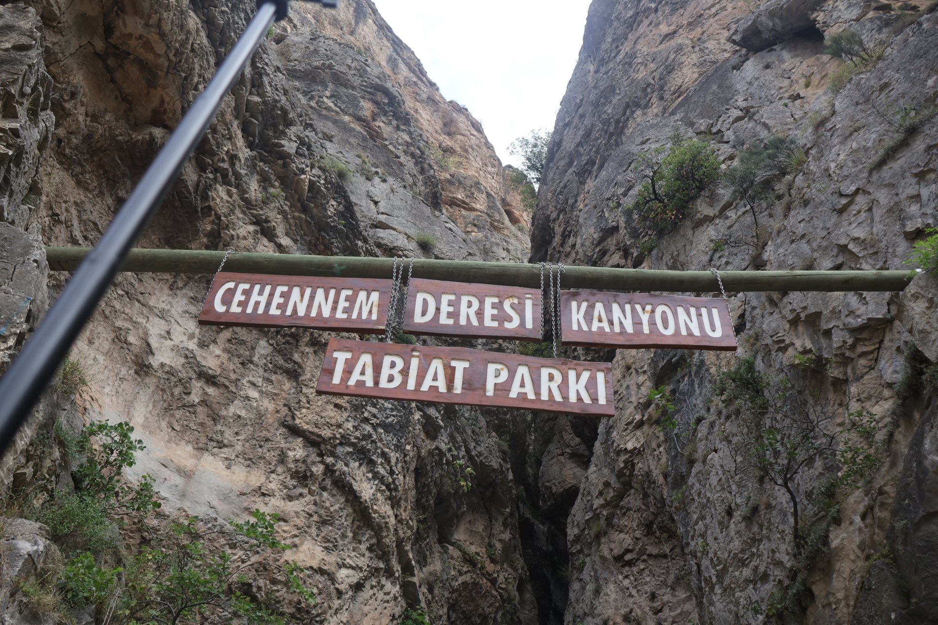 Artvin – son gün