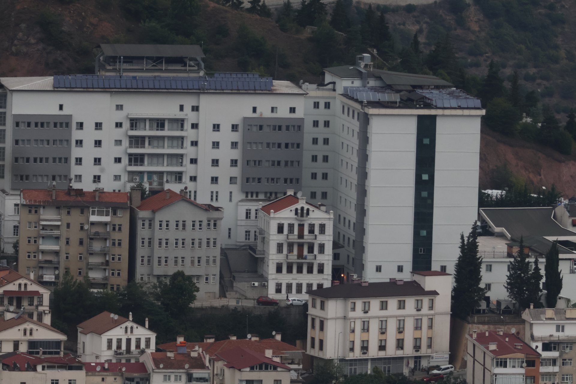 Artvin