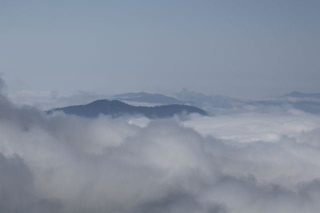 Artvin