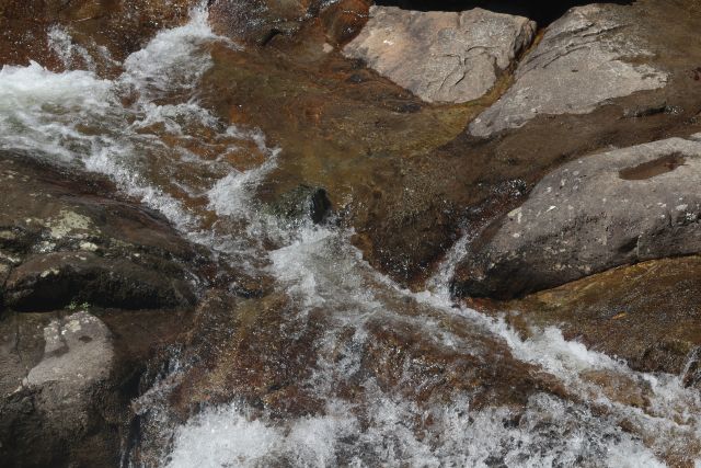 Arhavi