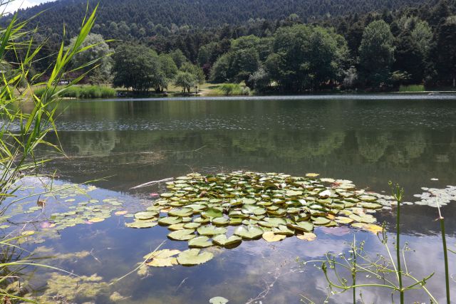 Gölcük Tabiat Parkı ve Akçakoca