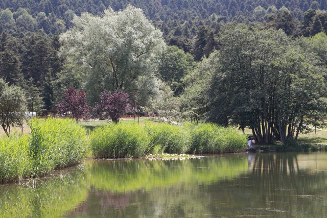 Gölcük Tabiat Parkı ve Akçakoca