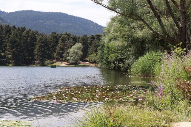 Gölcük Tabiat Parkı ve Akçakoca