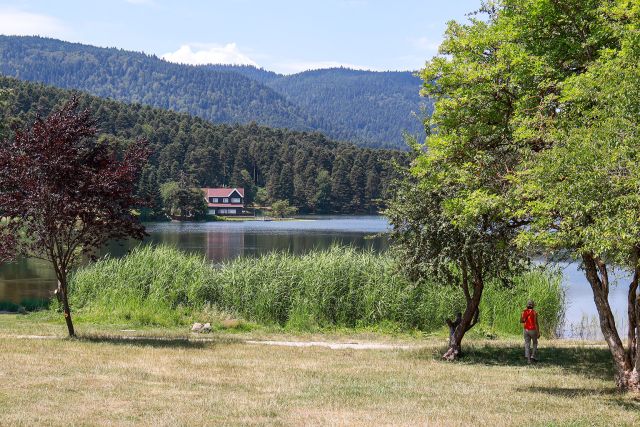 Gölcük Tabiat Parkı ve Akçakoca