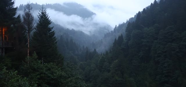 Ayder