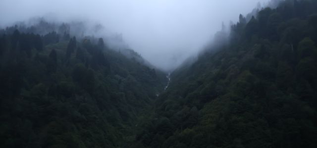 Ayder