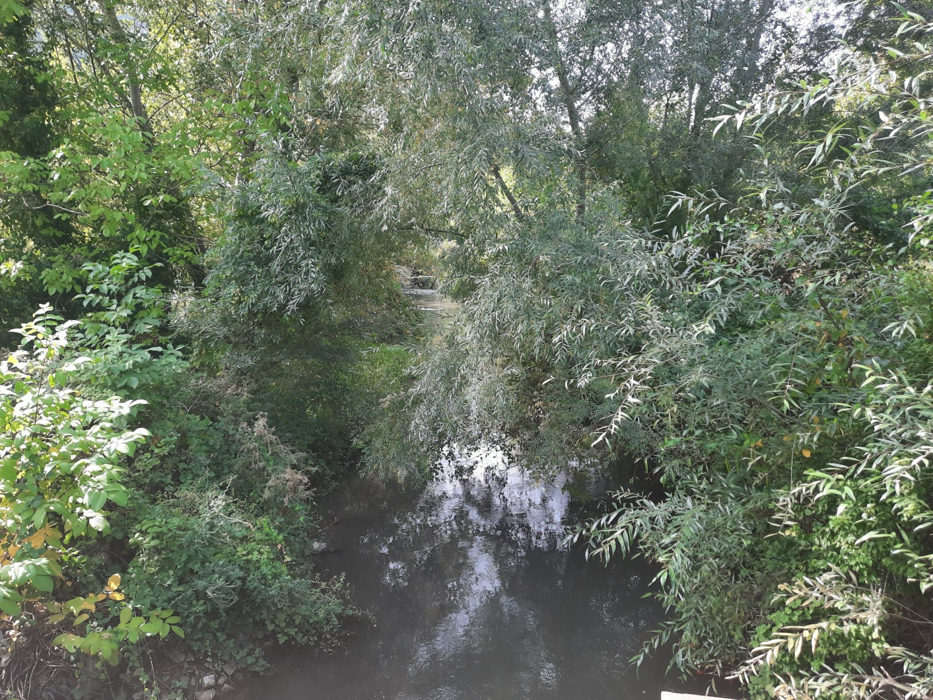 Taraklı