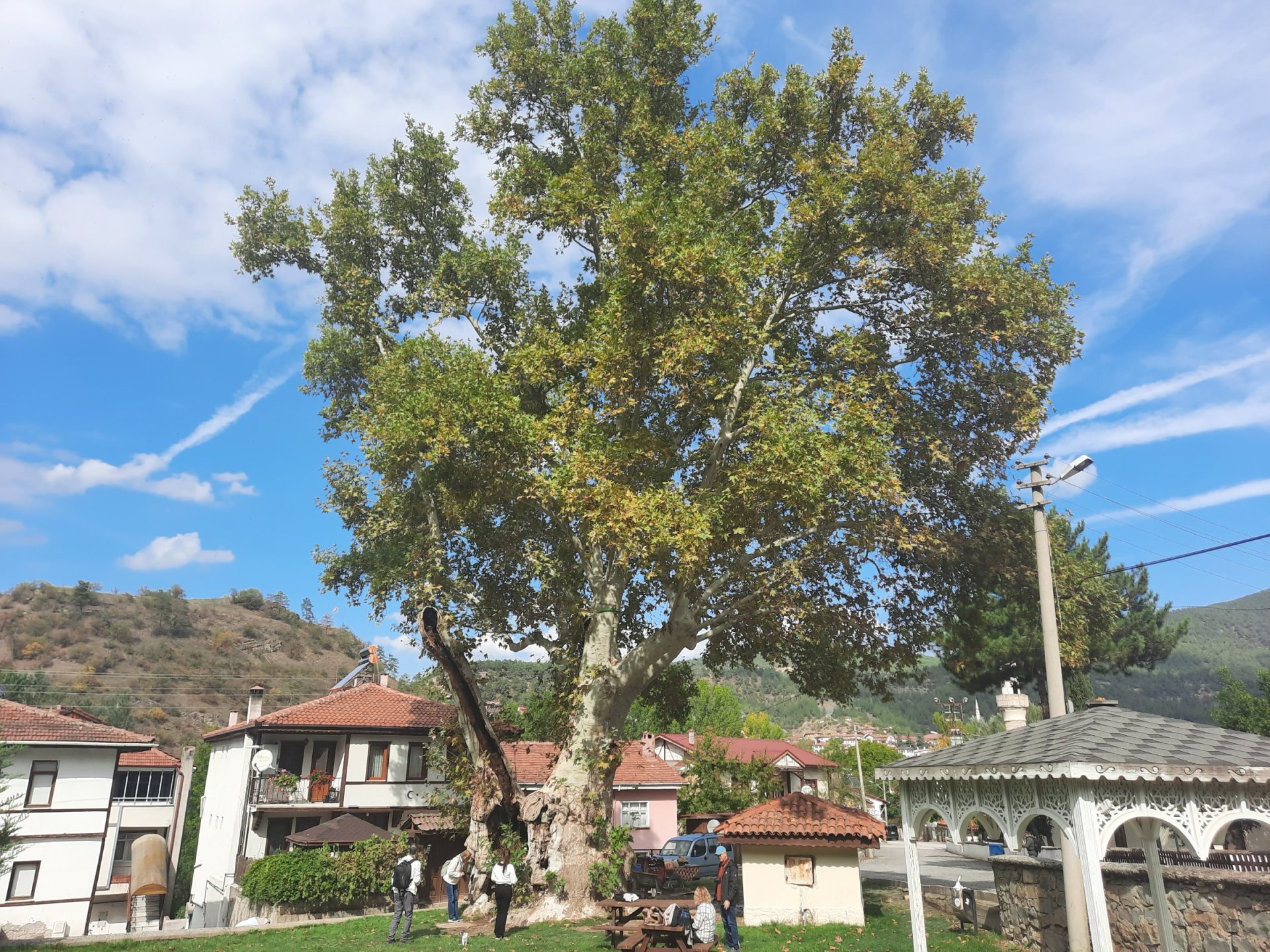 Taraklı & Göynük Turu